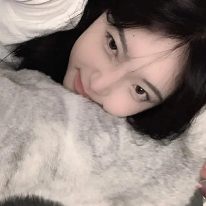 猫咪后院之家